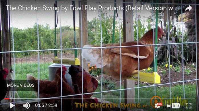 Chicken Swing for your Chicken Coop