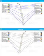 Arm Nerves Frequency Scan Report