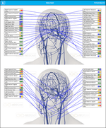 Head Nerves Frequency Scan Report