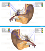 Ears Comprehensive Scan