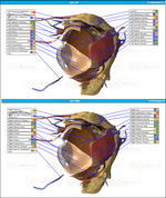 Eyes Comprehensive Scan Report