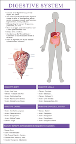 Body Systems Scan Reports