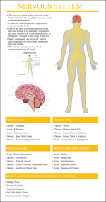 Nervous System Report Thumbnail